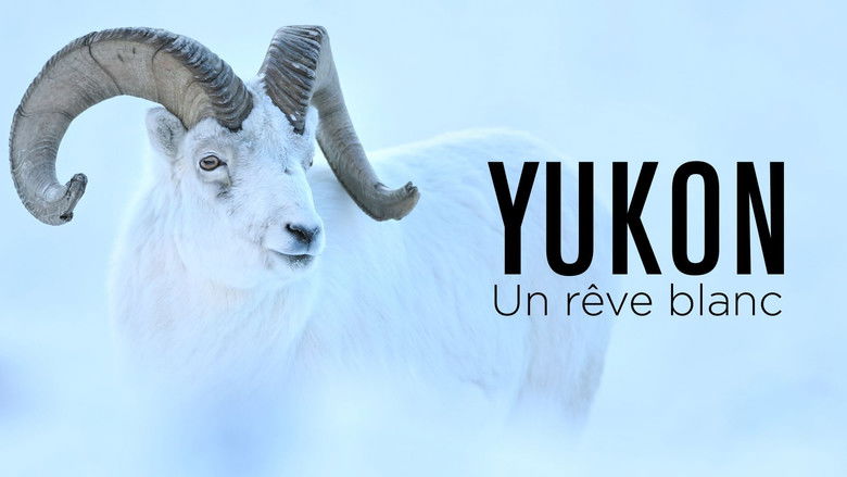 кадр из фильма Yukon : Un rêve blanc