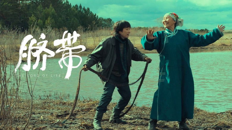 кадр из фильма 脐带