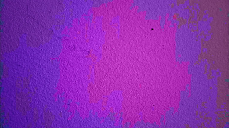 кадр из фильма a tiny bug crawls across a wall