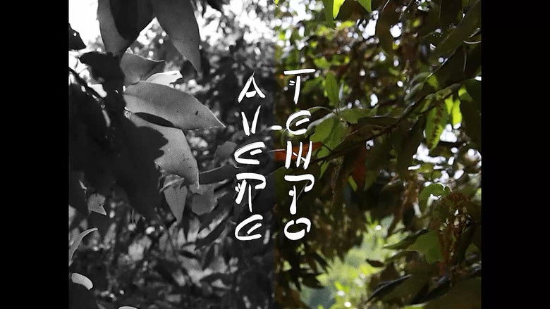 кадр из фильма AVERE TEMPO