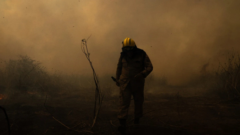 кадр из фильма Sinfonia da Sobrevivência