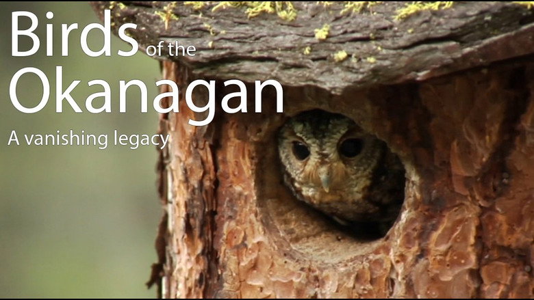 кадр из фильма Birds of the Okanagan: A Vanishing Legacy