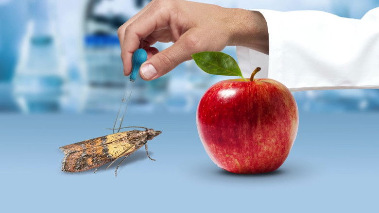 кадр из фильма The Weight of Chains 3