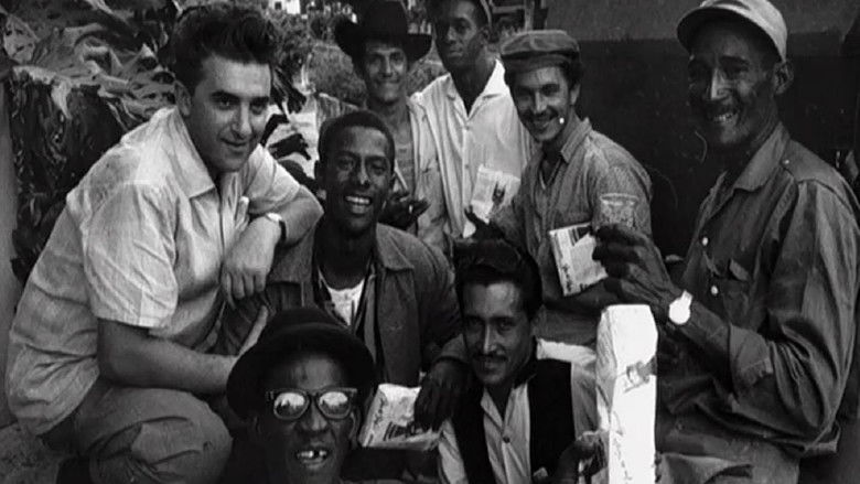 кадр из фильма Soy Cuba, o mamute Siberiano