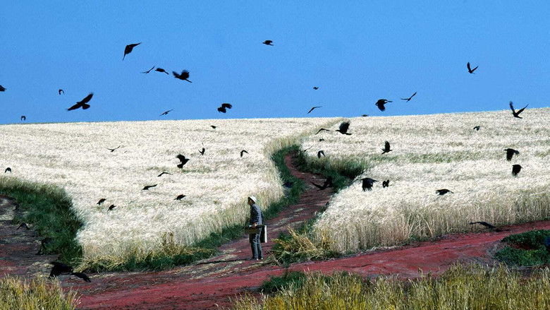 кадр из фильма Сны Акиры Куросавы