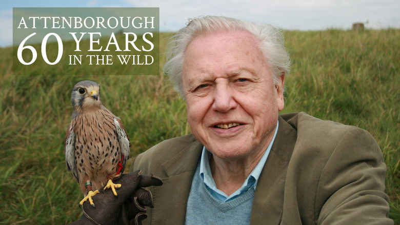 кадр из фильма Attenborough: 60 Years in the Wild