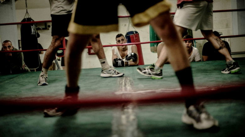 кадр из фильма Calcio storico