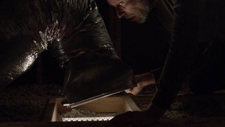 кадр из фильма Crawlspace