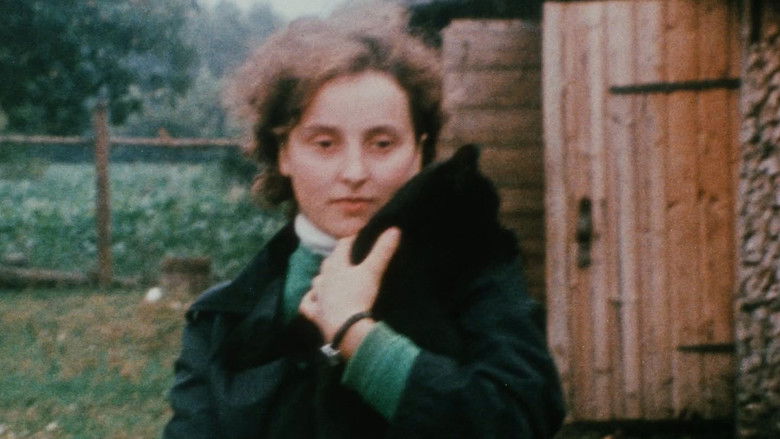 кадр из фильма Воспоминания о поездке в Литву