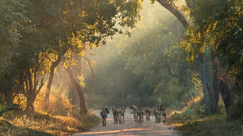 кадр из фильма Return of the Predators