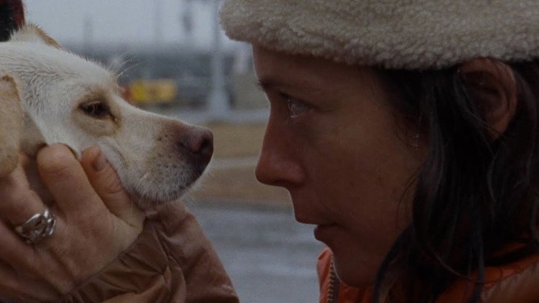 кадр из фильма If Found