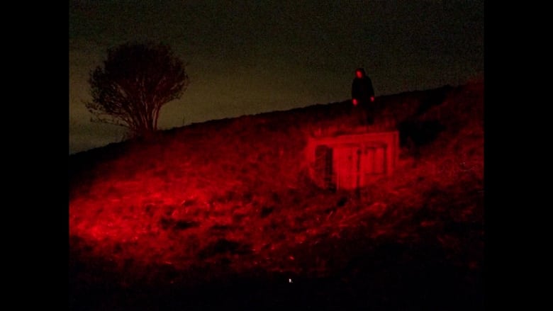 кадр из фильма A Dream of Green