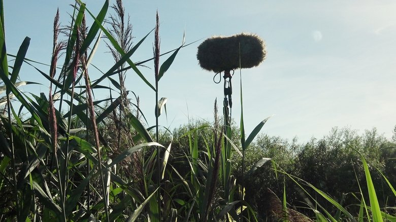 кадр из фильма In a Silent Way