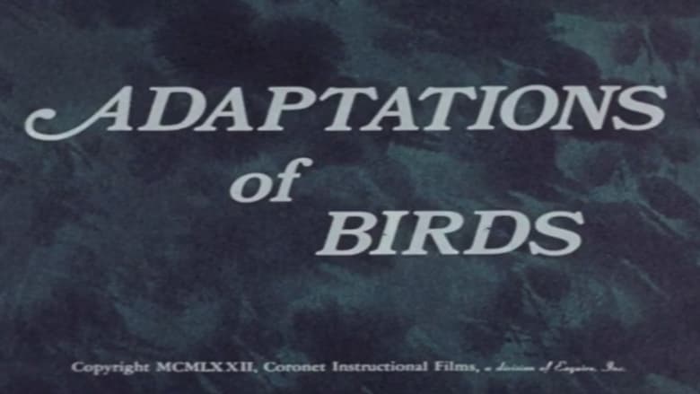 кадр из фильма Adaptations of Birds