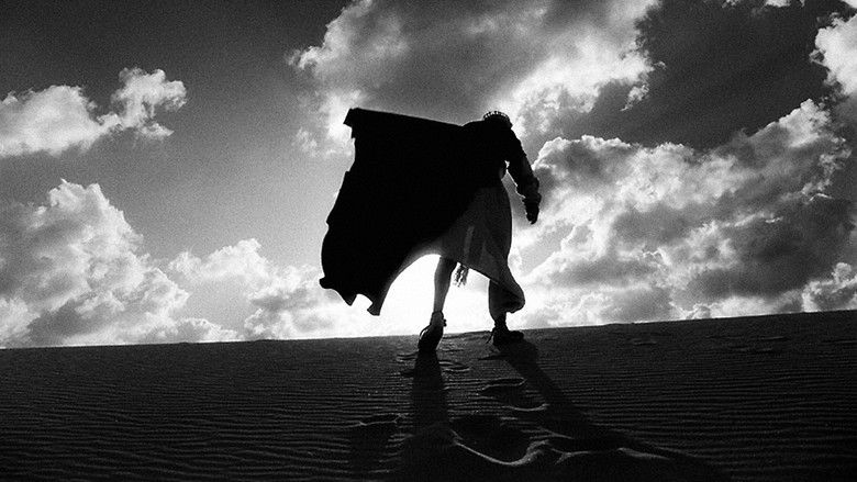 кадр из фильма El cant dels ocells