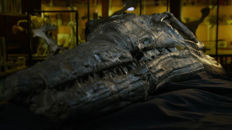 кадр из фильма Attenborough and the Sea Dragon