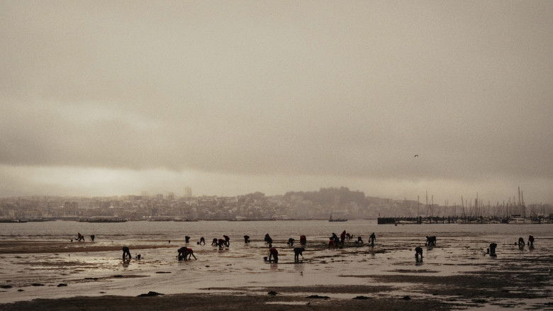 кадр из фильма A tarea