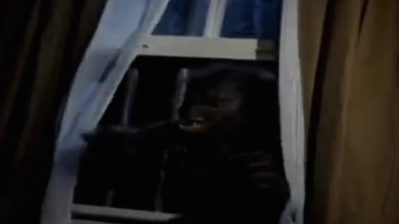 кадр из фильма Goosebumps: Werewolf Skin