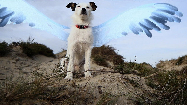 кадр из фильма De vliegende hond