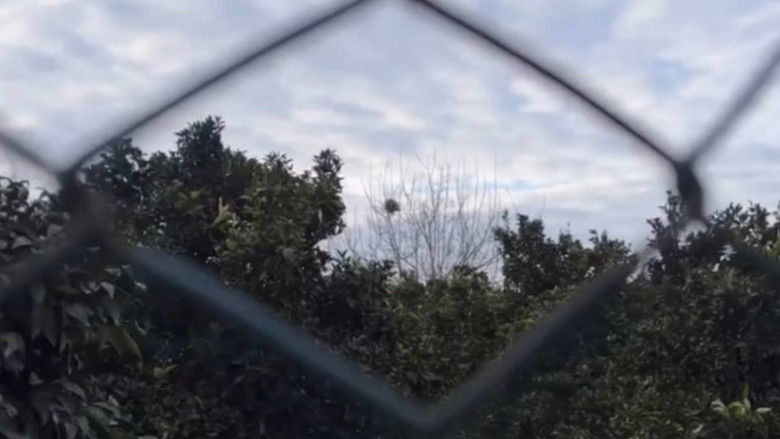 кадр из фильма تاکسی و کمی ضایعات