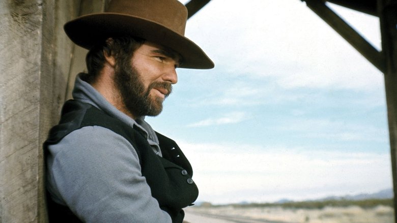 кадр из фильма Человек, который любил танцующую кошку