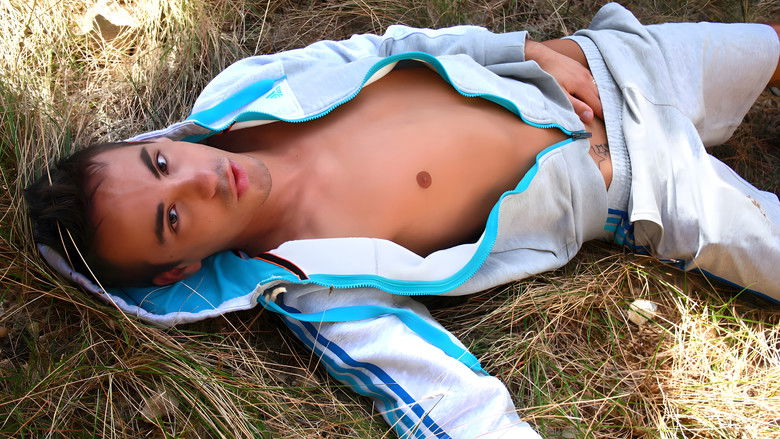 кадр из фильма À fond les formes !