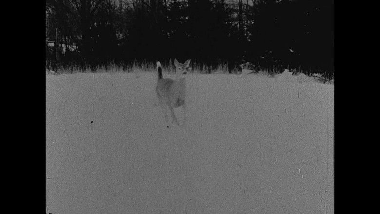 кадр из фильма The Hart of London