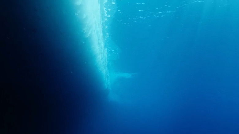 кадр из фильма Antarctica, sur les traces de l'empereur