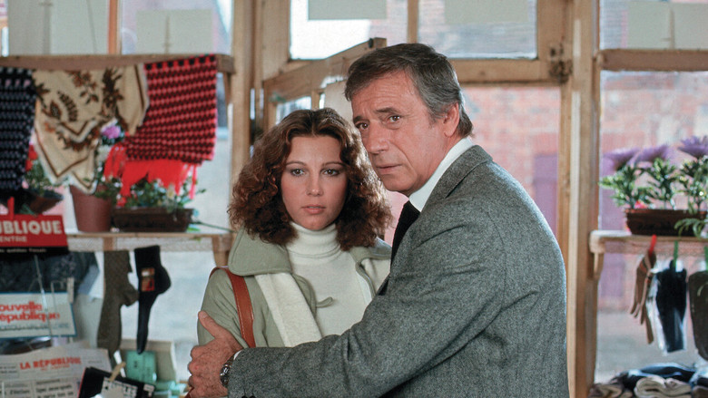 кадр из фильма Пистолет «Питон 357»