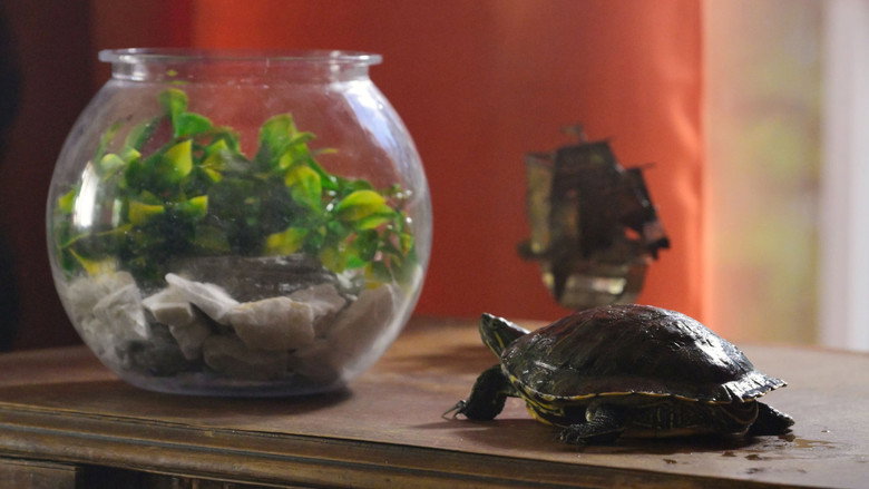 кадр из фильма Binky