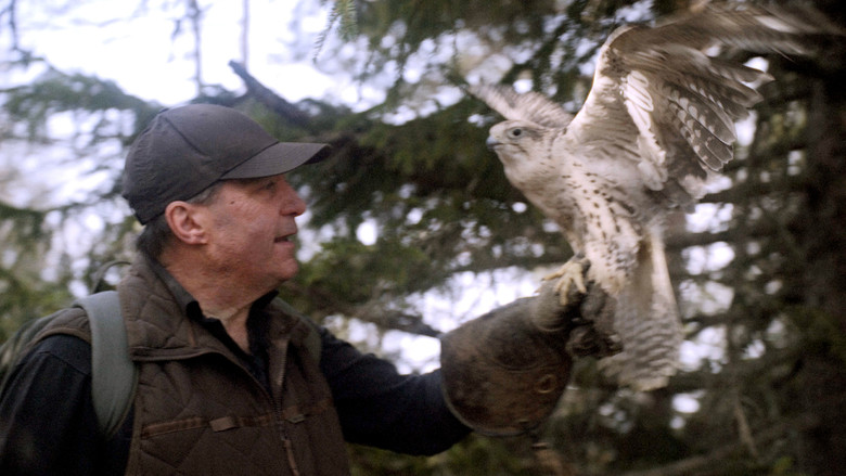 кадр из фильма Sopra Mille Metri