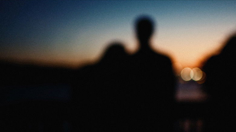 кадр из фильма A Perfect Life