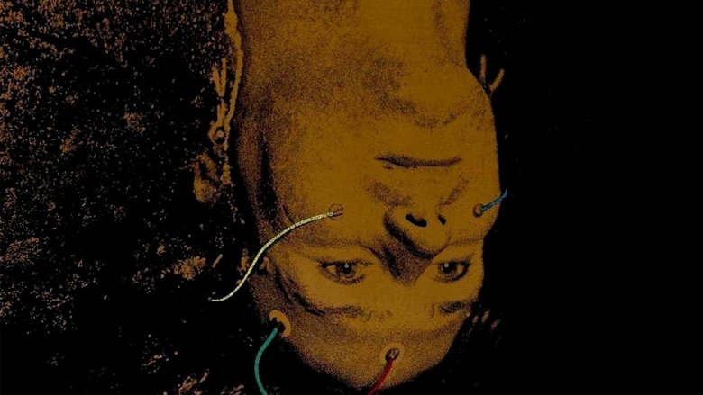 кадр из фильма Другие ипостаси