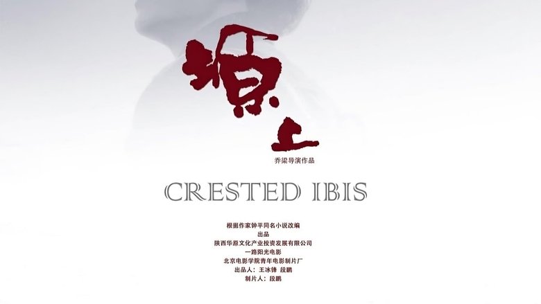 кадр из фильма 塬上