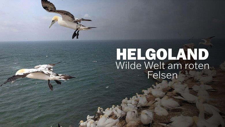 кадр из фильма Helgoland - Wilde Welt am roten Felsen