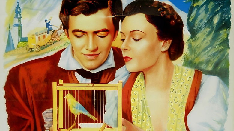 Продавец птиц