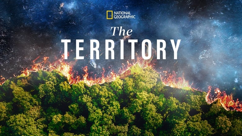 кадр из фильма The Territory