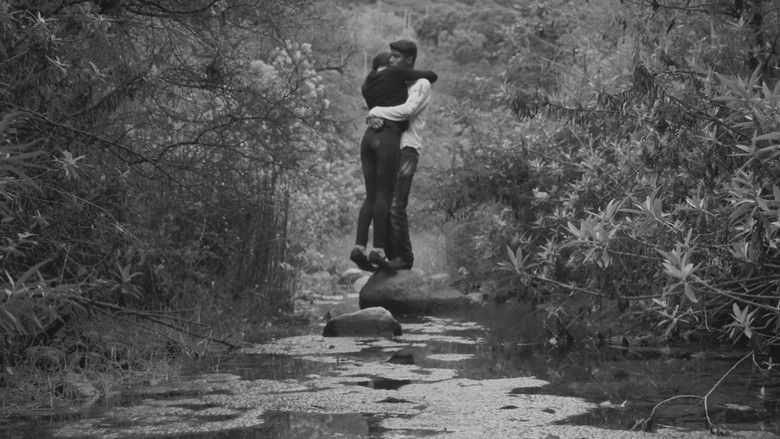 кадр из фильма ¡Viva el Pueblo!