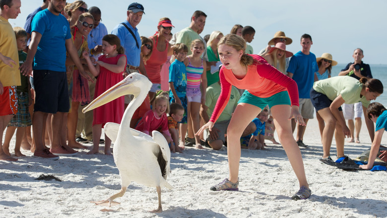 кадр из фильма История дельфина 2