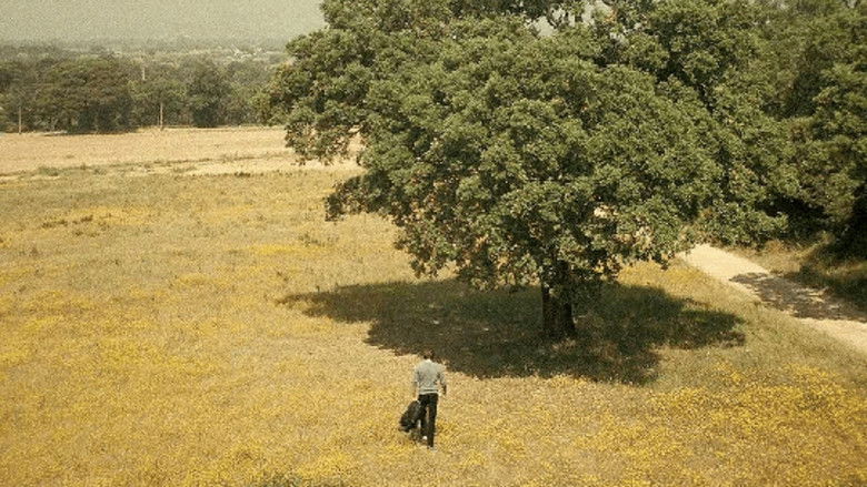 кадр из фильма Коллекционерша