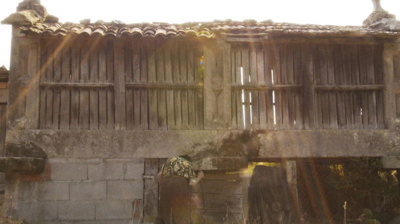 кадр из фильма Aurora