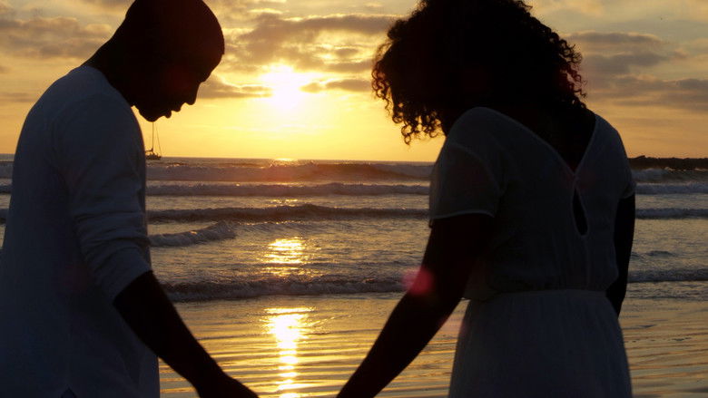 кадр из фильма Appreciation