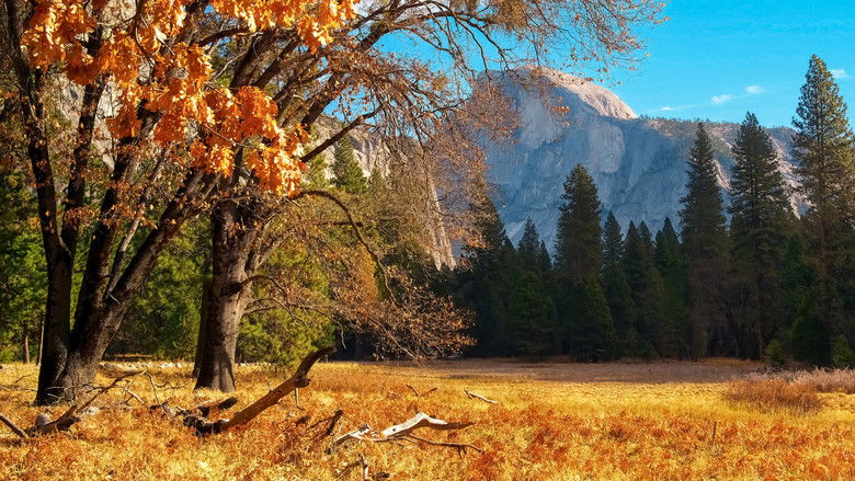 Scenic National Parks: The Best of the National Parks