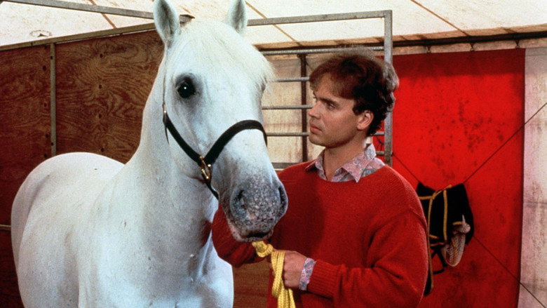 кадр из фильма Mein Freund, der Lipizzaner
