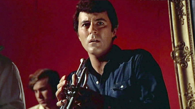 кадр из фильма Венера в мехах