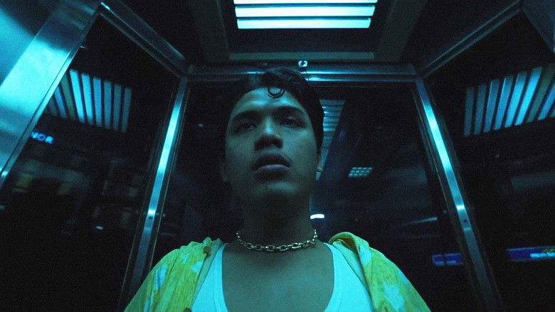 кадр из фильма Brighter, Brighter Day