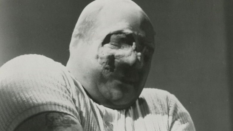 кадр из фильма Проклятие мухи