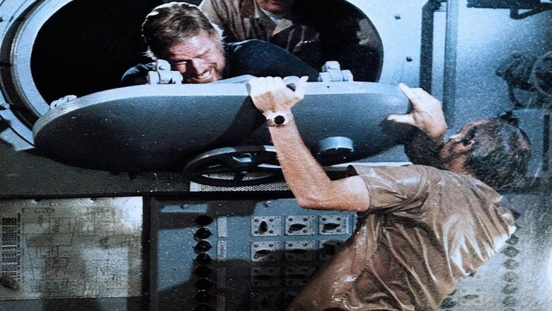 кадр из фильма Серая Дама уходит на глубину