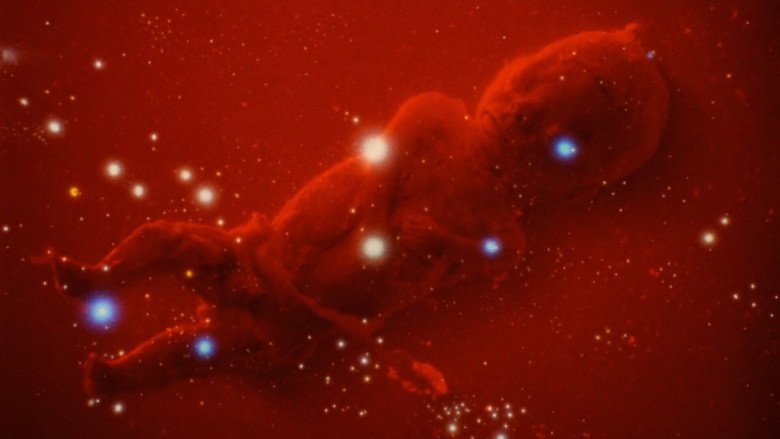 кадр из фильма Чёрная кошка