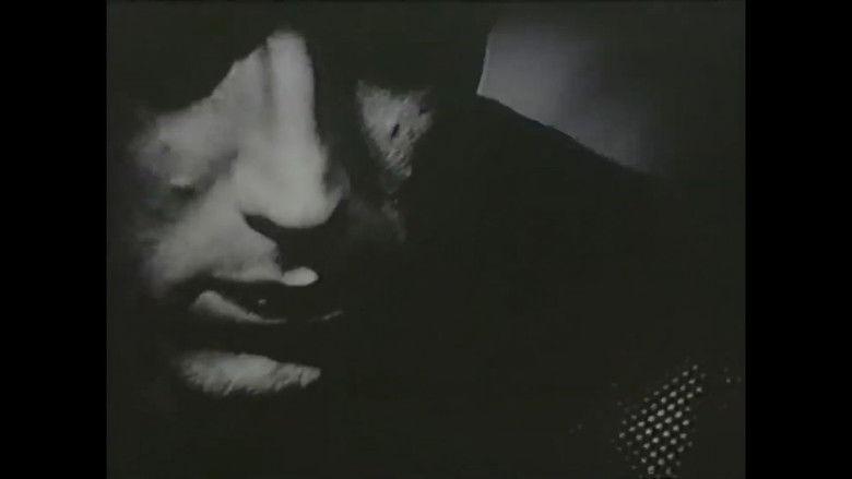 кадр из фильма FRANZ ZWARTJES : 